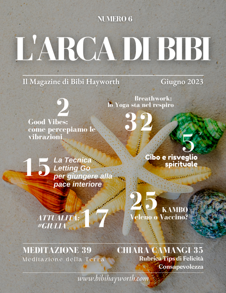 L'Arca di Bibi - volume 6