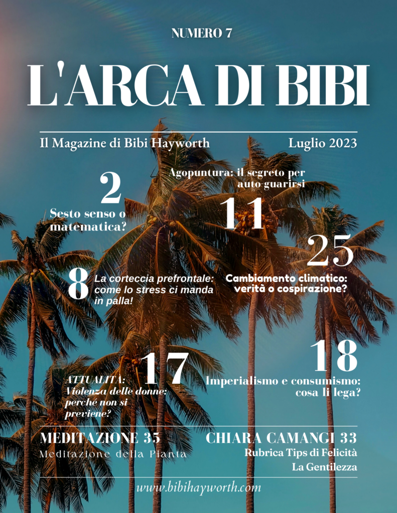L'Arca di Bibi - Volume 7